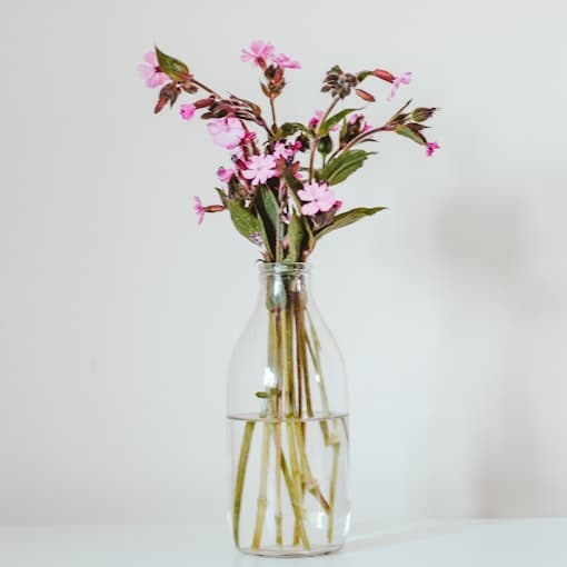 Pink flowers in a clear glass vase